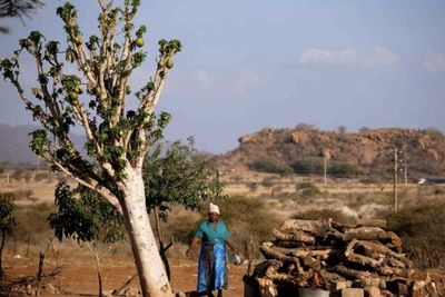 Video: Land Expropriation Takes More Than Just Land And Could Leave Banks Empty
