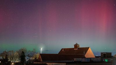 Pilot Turns Plane Around So That Entire Flight Can See Northern Lights