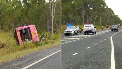School Bus Driver Collides With Camels, Dies