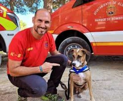 Lifesaver Dogs Doing Their Thing In Spain